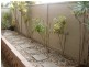 “Chevron Court”/21 Weemala Street, Surfers Paradise QLD 4217