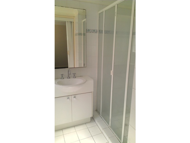 19 Markwell Avenue, Surfers Paradise QLD 4217