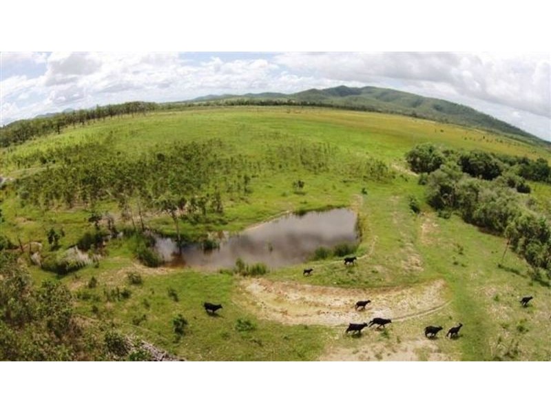 282 Stafford Road, Bloomsbury QLD 4799