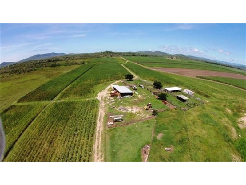 282 Stafford Road, Bloomsbury QLD 4799