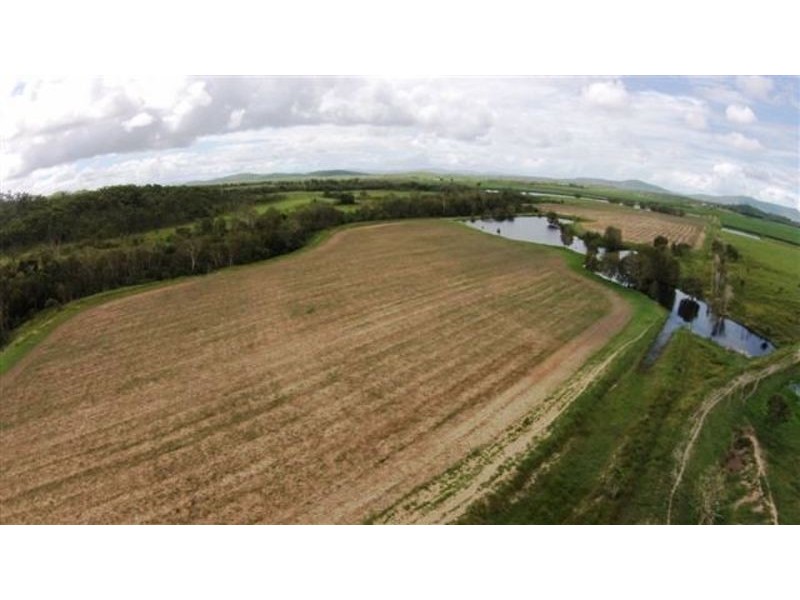 282 Stafford Road, Bloomsbury QLD 4799