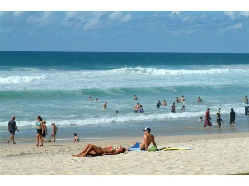 Moroccan Elkhorn /7 Elkhorn Avenue, Surfers Paradise QLD 4217