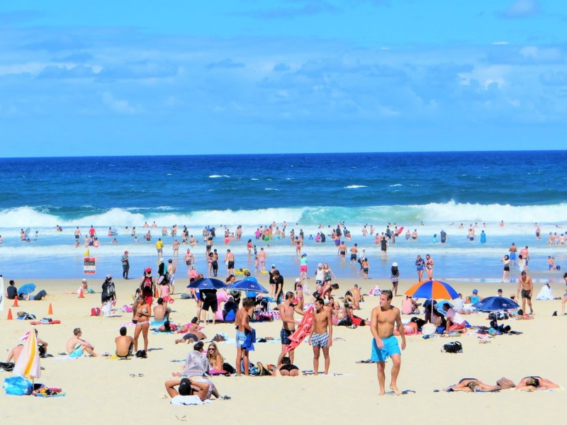 Moroccan Elkhorn /7 Elkhorn Avenue, Surfers Paradise QLD 4217
