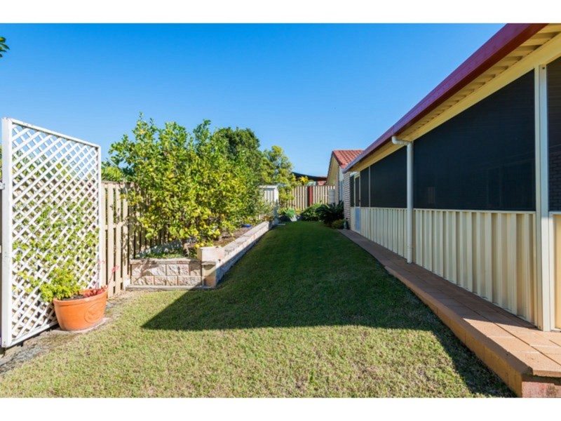 11 Palm Street, Pacific Pines QLD 4211