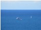 Focus /114 The Esplanade, Surfers Paradise QLD 4217
