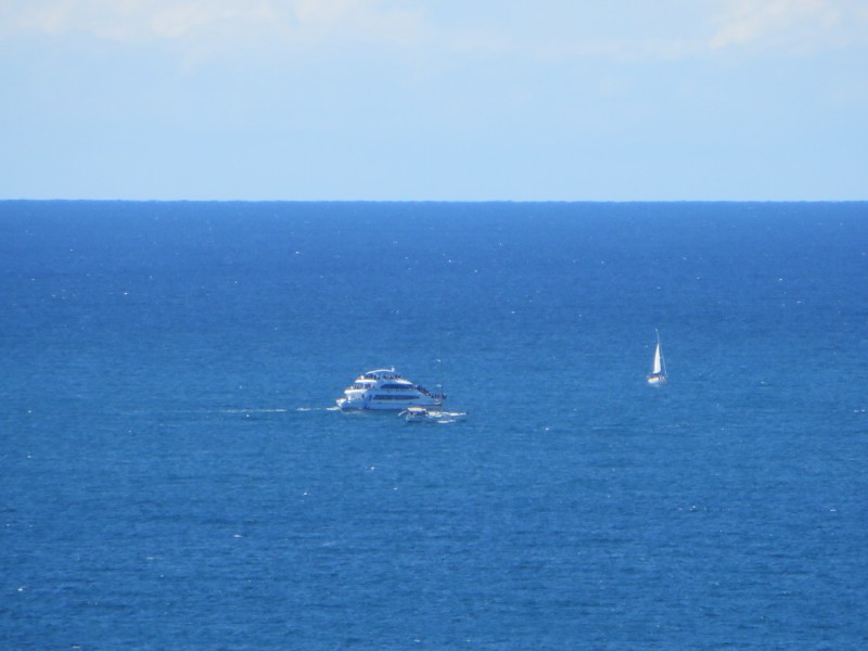 Focus /114 The Esplanade, Surfers Paradise QLD 4217