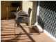 “Bay Lodge”/35 Palm Avenue, Surfers Paradise QLD 4217