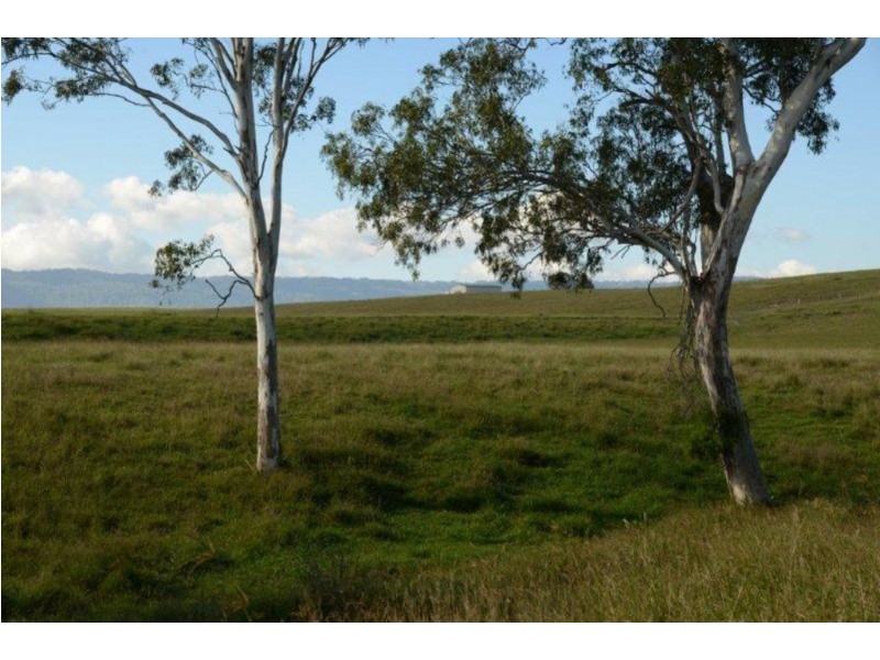 201 Four Mile Lane, Boyland QLD 4275