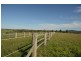 201 Four Mile Lane, Boyland QLD 4275