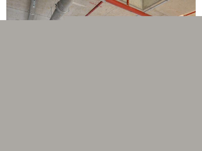 1204/18 Fern Street, Surfers Paradise QLD 4217