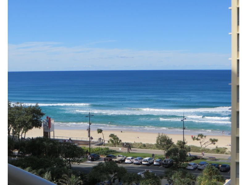 36/7 Elkhorn Avenue, Surfers Paradise QLD 4217