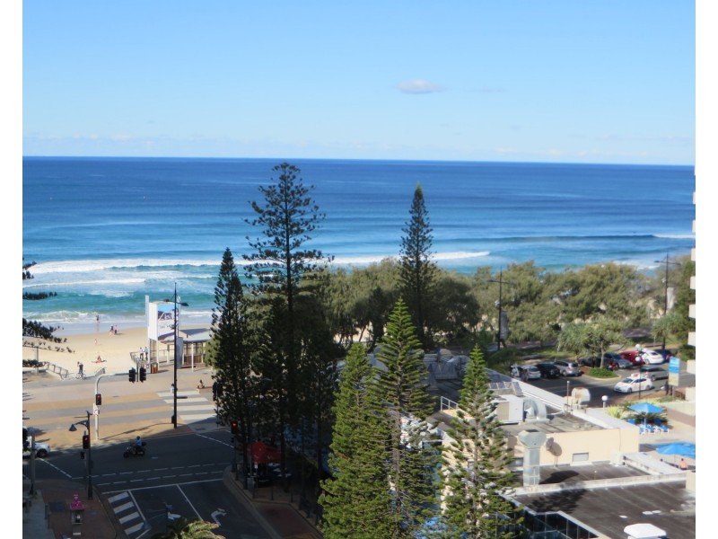 36/7 Elkhorn Avenue, Surfers Paradise QLD 4217