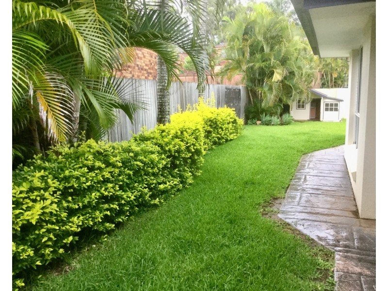 15 Cathedral Avenue, Molendinar QLD 4214