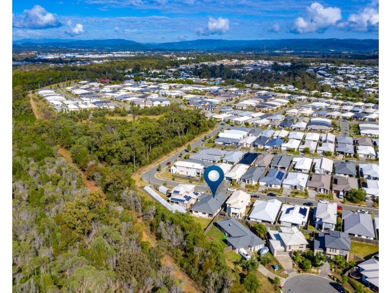 19 Mcpherson Crescent, Coomera QLD 4209