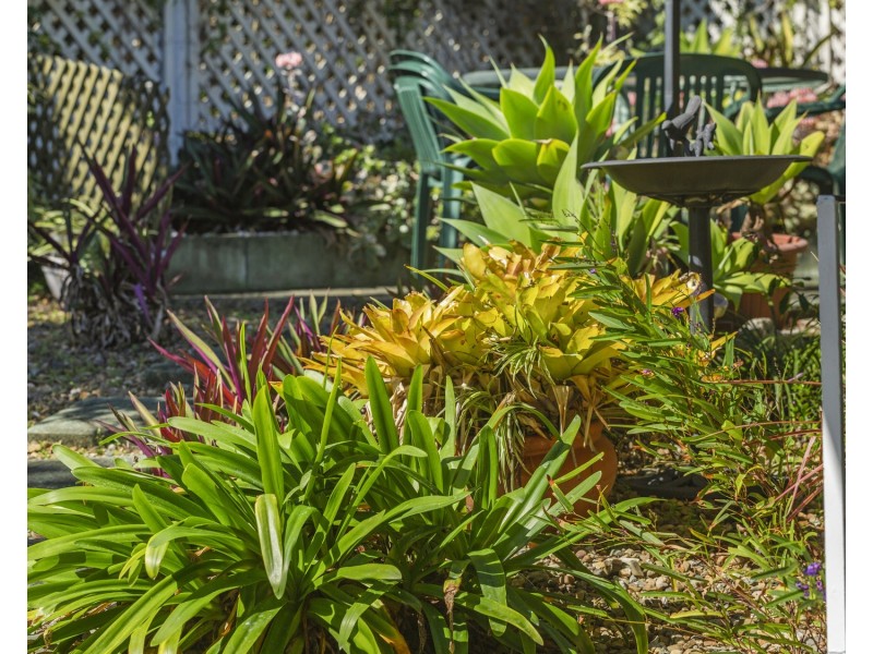 98 Bapaume Road, Holland Park West QLD 4121