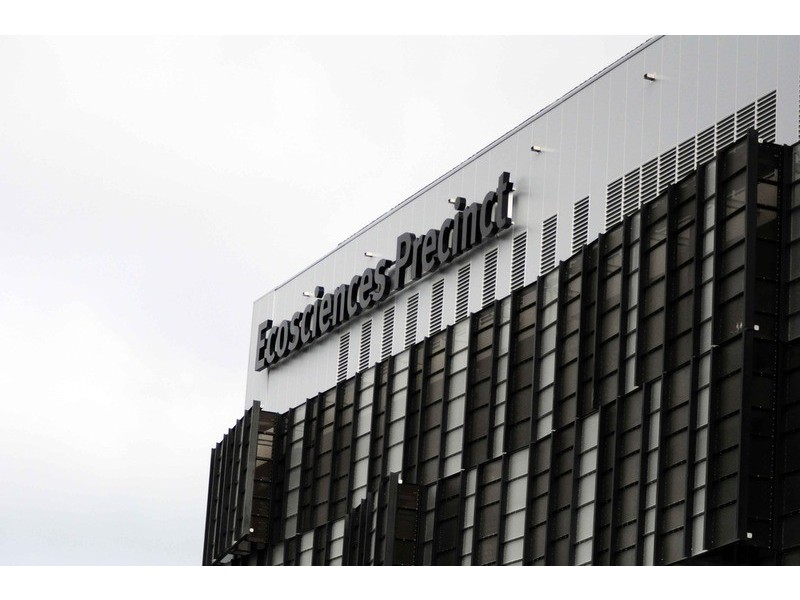 12 Crown Street, South Brisbane QLD 4101