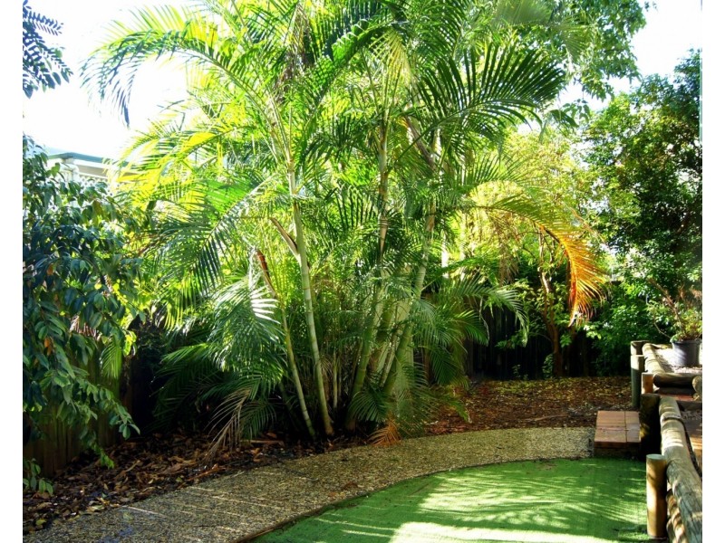 2/38 Cole Street, Alderley QLD 4051