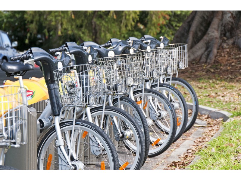 26 Pound Street, Dutton Park QLD 4102