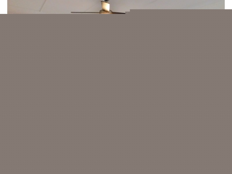 50 Percy Street, Tarragindi QLD 4121