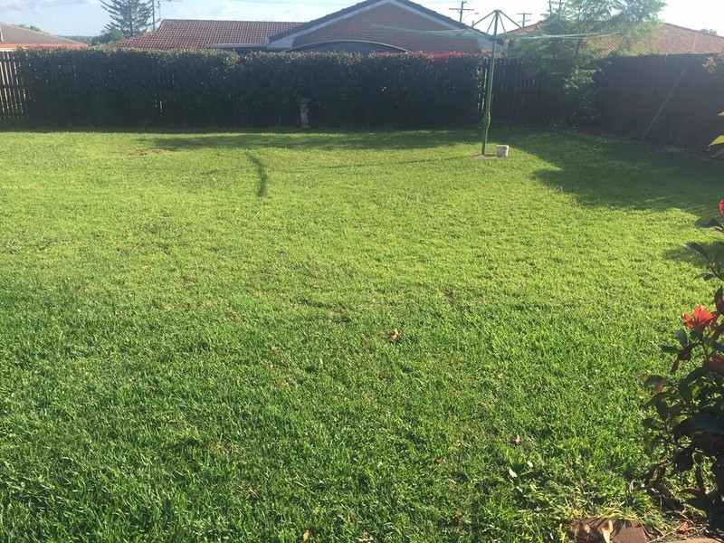 342 North Street, Wilsonton QLD 4350