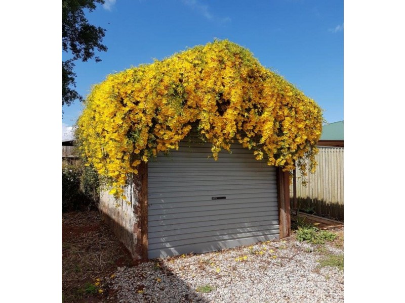6 William Street, East Toowoomba QLD 4350