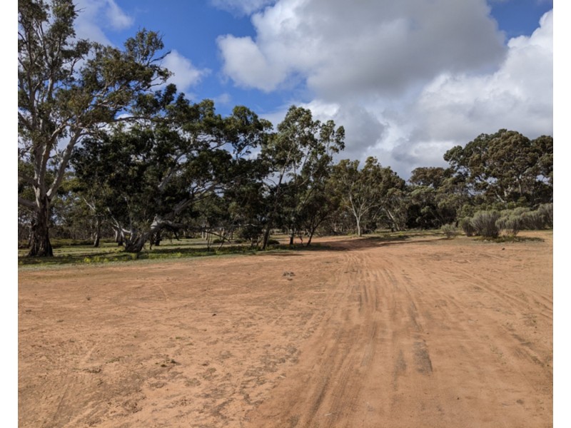Lot 31 Carcuma Road, Tintinara SA 5266