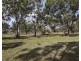 Lot 31 Carcuma Road, Tintinara SA 5266