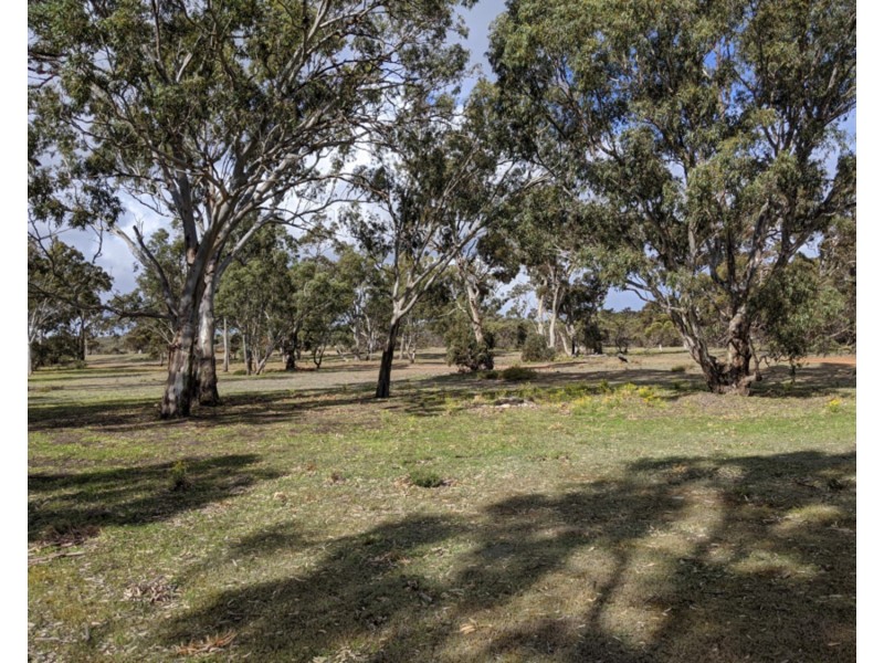 Lot 31 Carcuma Road, Tintinara SA 5266