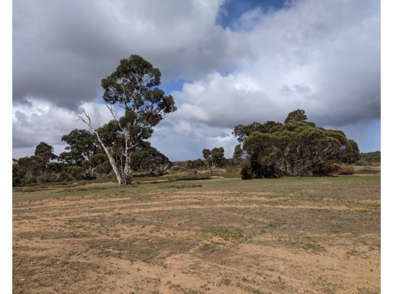 Lot 31 Carcuma Road, Tintinara SA 5266