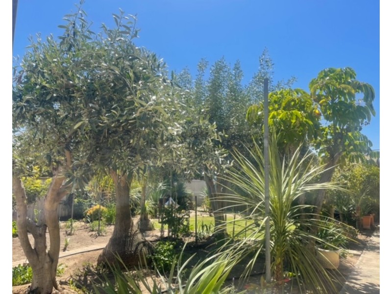 13 Sir Ross Smith Avenue, North Haven SA 5018