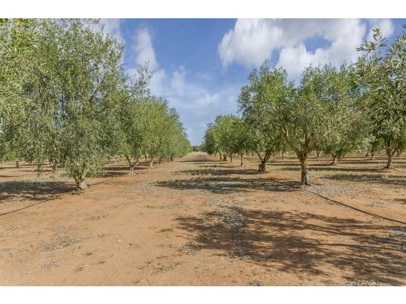 Lot 104 Stebonheath Road, Munno Para SA 5115