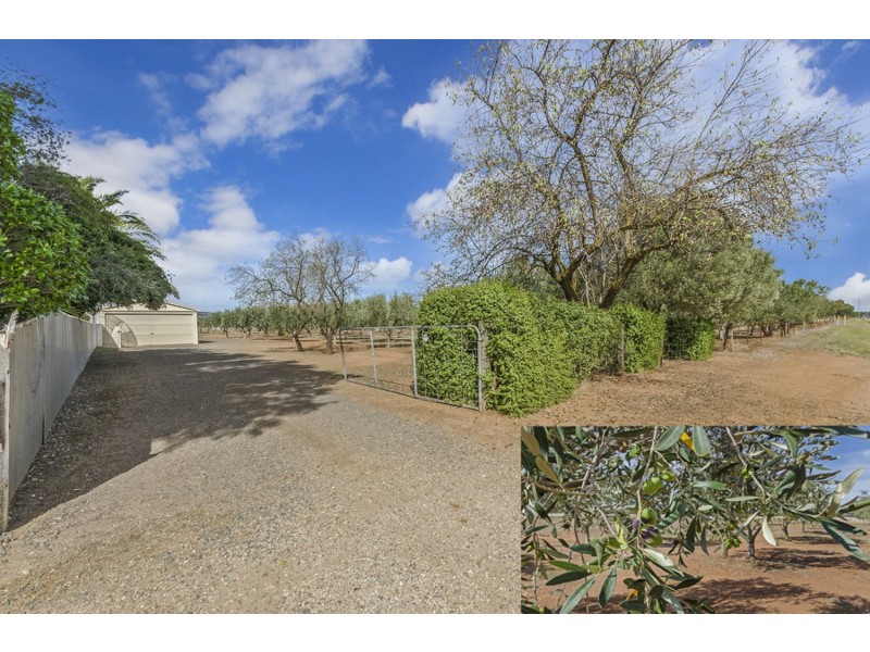 Lot 104 Stebonheath Road, Munno Para SA 5115