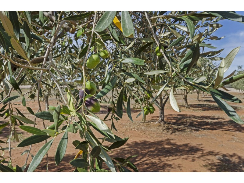 Lot 104 Stebonheath Road, Munno Para SA 5115