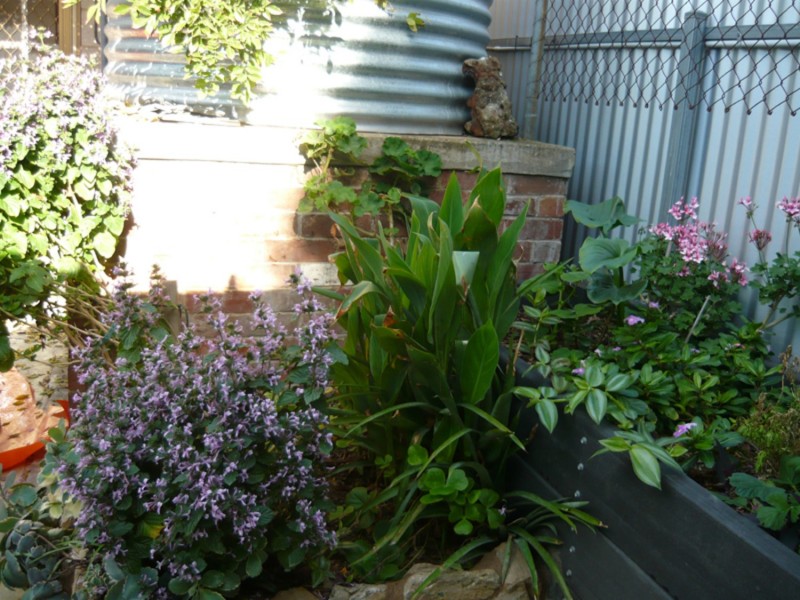 47 Mellor Road, Glanville SA 5015