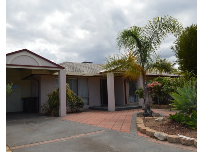 53 Aurelia Drive, North Haven SA 5018
