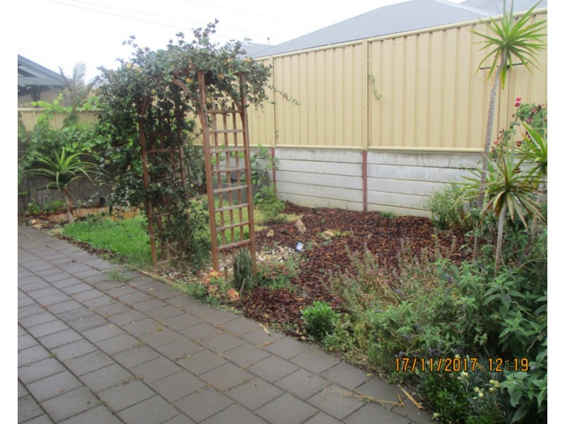 19 Brookman Street, Osborne SA 5017