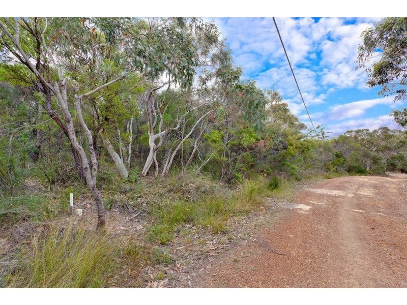 19 Morgan Road, Belrose NSW 2085