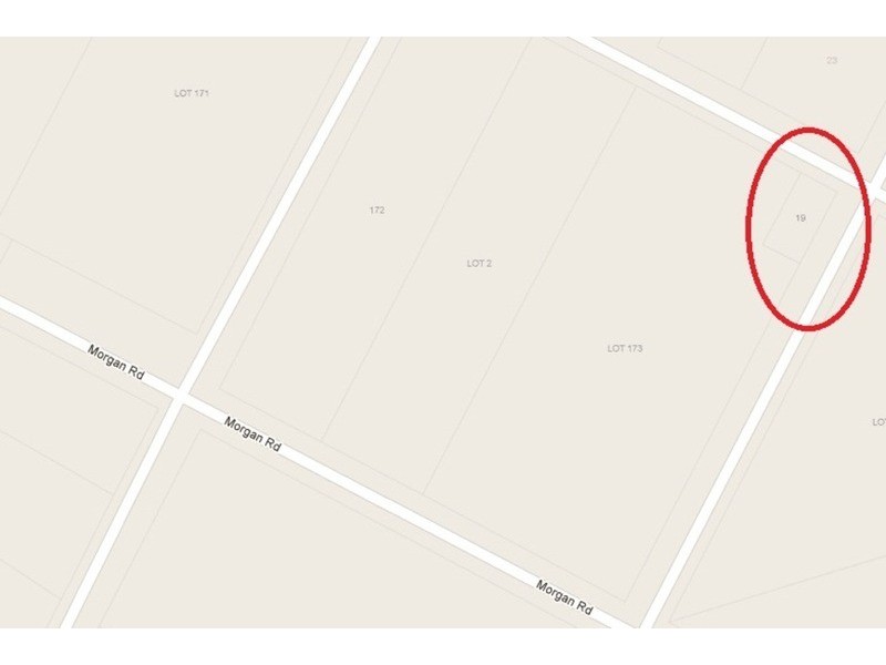 19 Morgan Road, Belrose NSW 2085