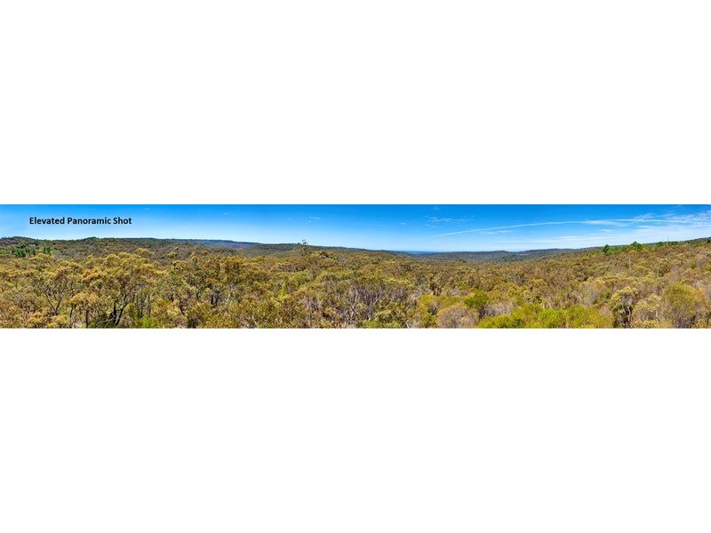 19 Morgan Road, Belrose NSW 2085