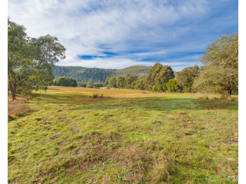 16 Seal Rock Road, Buxton VIC 3711