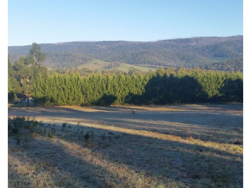 16 Seal Rock Road, Buxton VIC 3711