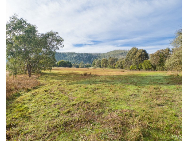 16 Seal Rock Road, Buxton VIC 3711