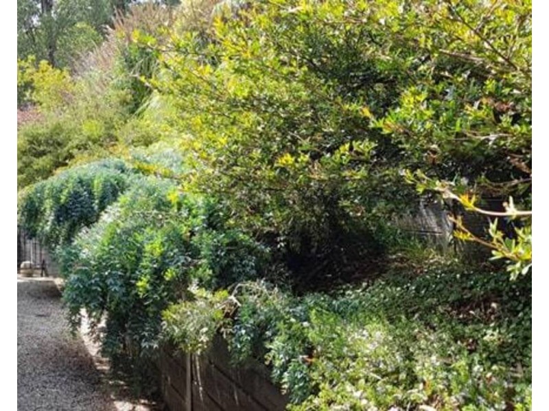 4/120 Falls Road, Marysville VIC 3779