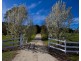26  Seal Rock Road, Buxton VIC 3711