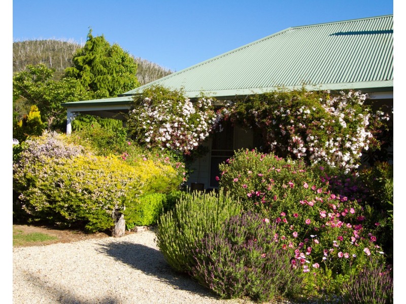 26  Seal Rock Road, Buxton VIC 3711