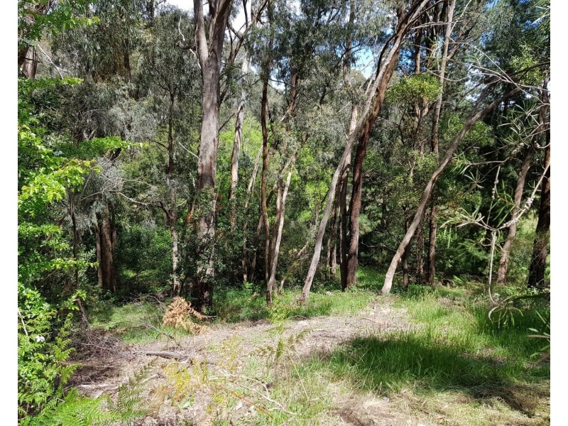 2 Buxton Rise, Buxton VIC 3711