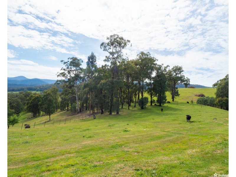 1580 Maroondah Highway, Buxton VIC 3711