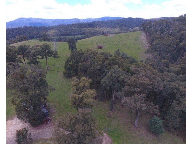 1580 Maroondah Highway, Buxton VIC 3711