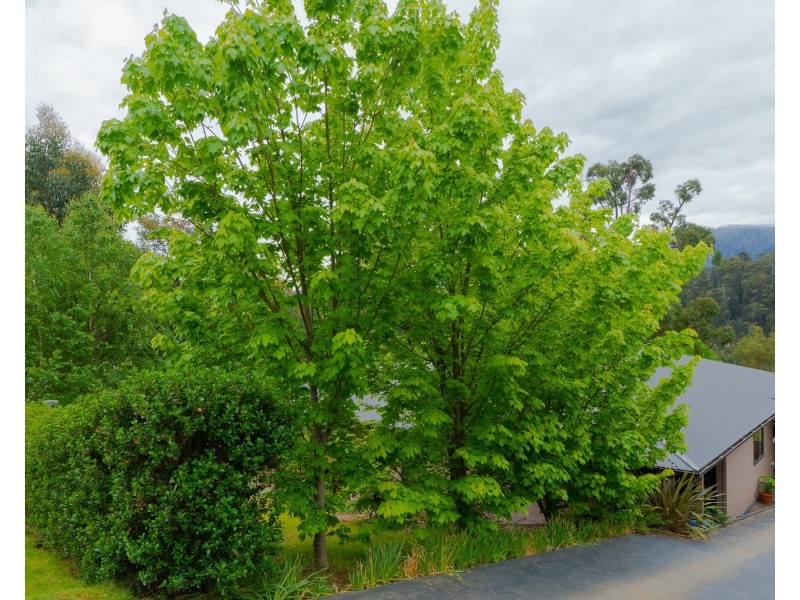 22 Allison Crescent, Marysville VIC 3779