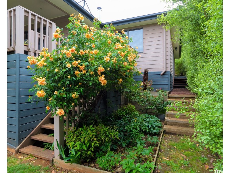 22 Allison Crescent, Marysville VIC 3779